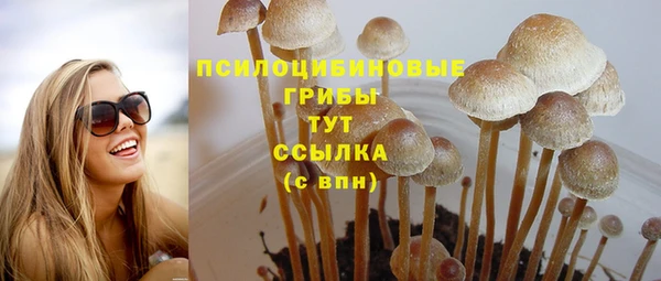 a pvp Струнино
