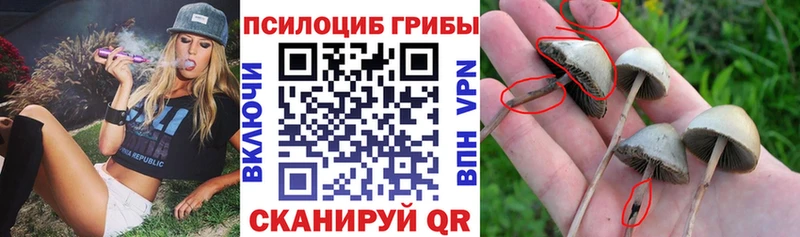 Галлюциногенные грибы Cubensis  omg онион  Харабали  купить закладку 